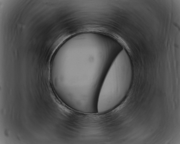 X0000097640844200802290820