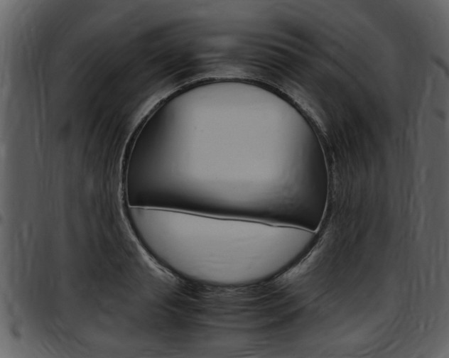 X0000097640845200802290820