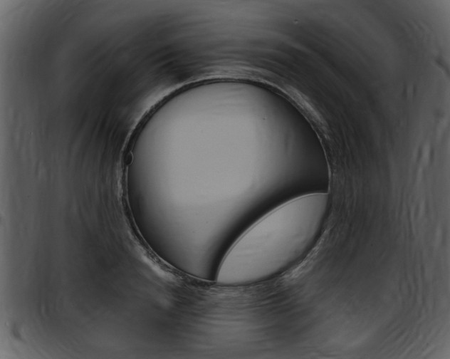 X0000097640846200802290820
