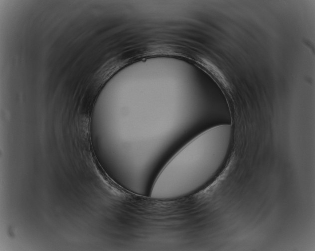 X0000097640849200802290820