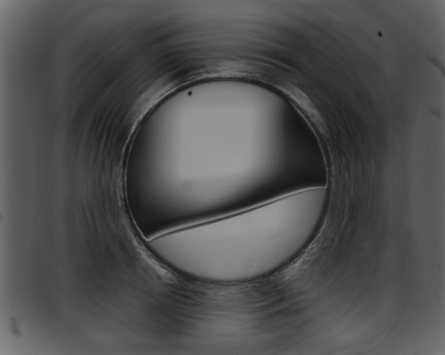 X0000097640850200802290820