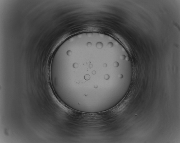 X0000097640851200802290820