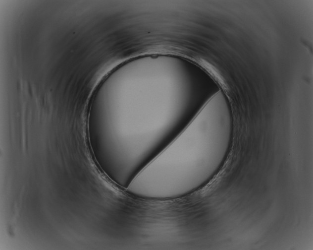 X0000097640854200802290820