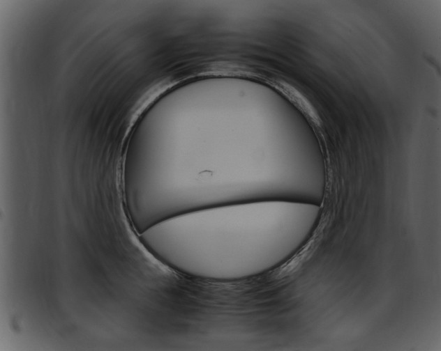 X0000097640855200802290820