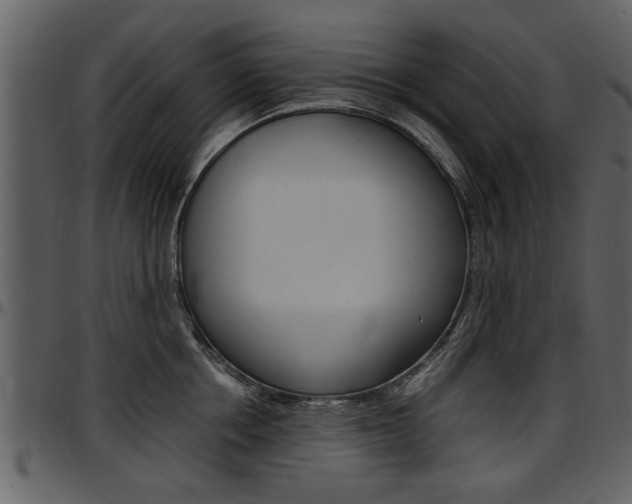 X0000097640858200802290820