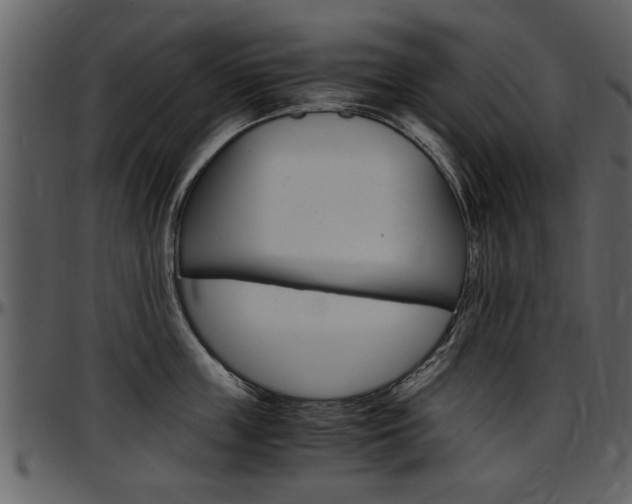 X0000097640859200802290820