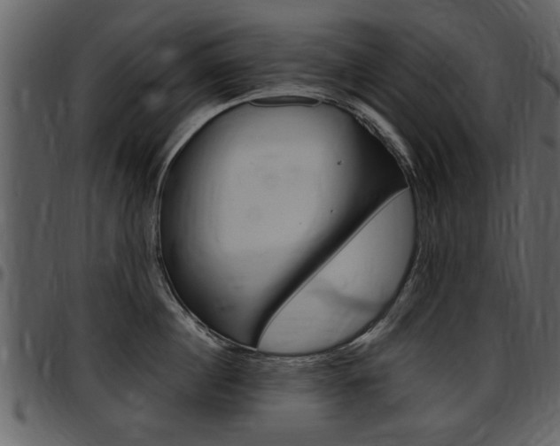 X0000097640860200802290820