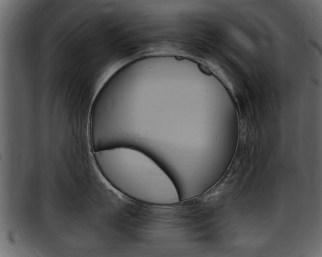 X0000097640863200802290820