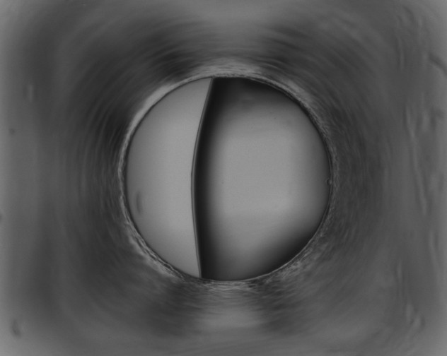 X0000097640864200802290820