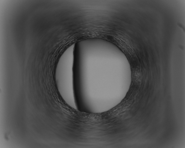 X0000097640865200802290820