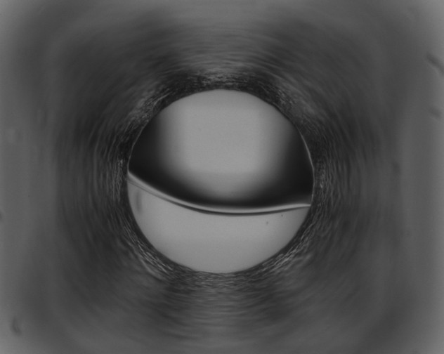 X0000097640868200802290820