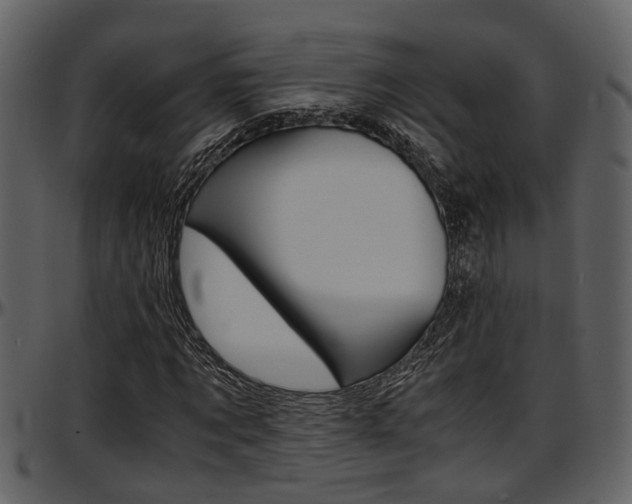 X0000097640869200802290820
