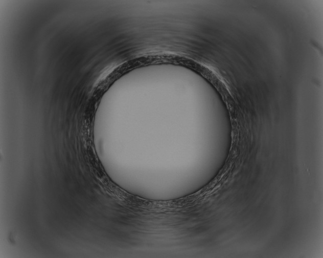 X0000097640871200802290820