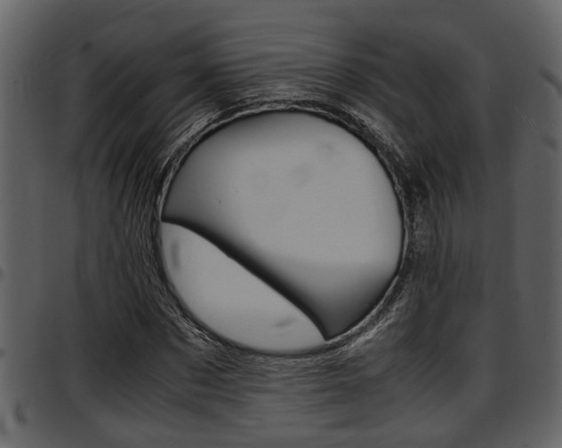 X0000097640873200802290820