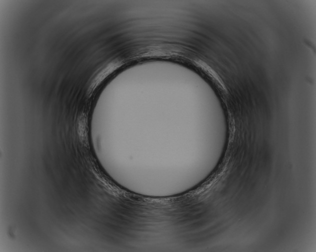 X0000097640874200802290820
