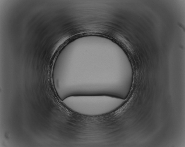X0000097640875200802290820
