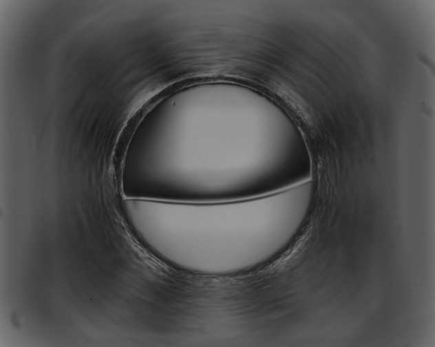 X0000097640876200802290820