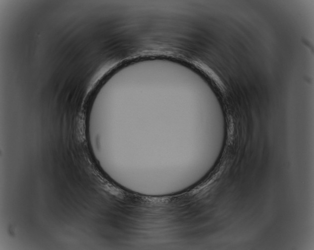X0000097640878200802290820