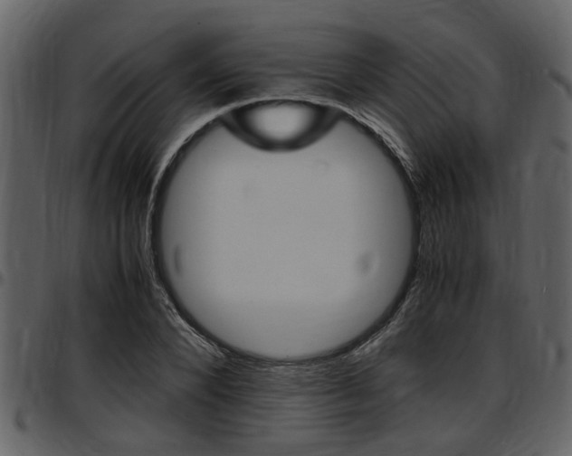 X0000097640880200802290820