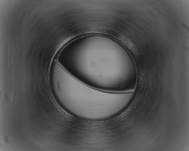 X0000097640884200802290820