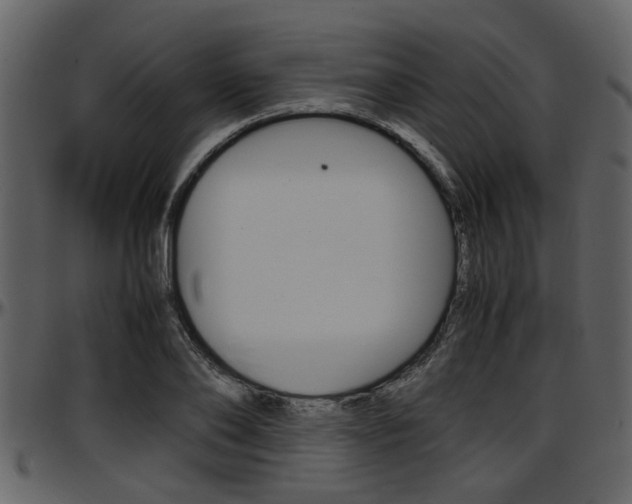 X0000097640886200802290819