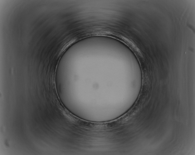 X0000097640889200802290819