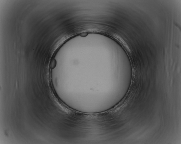 X0000097640890200802290819