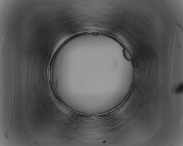 X0000097640891200802290819