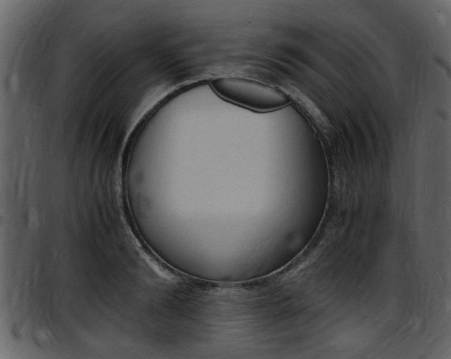 X0000097640894200802290819