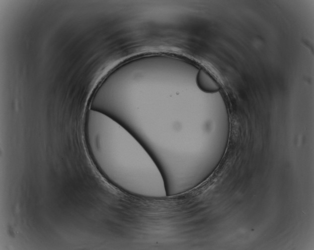 X0000097640895200802290819