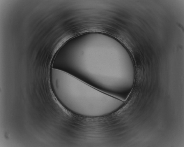 X0000097640898200802290819