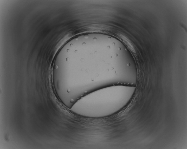 X0000097640899200802290819