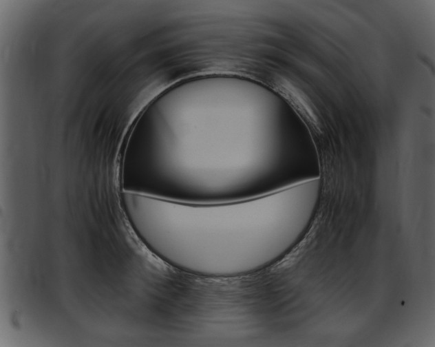 X0000097640900200802290819
