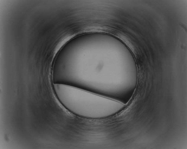 X0000097640901200802290819