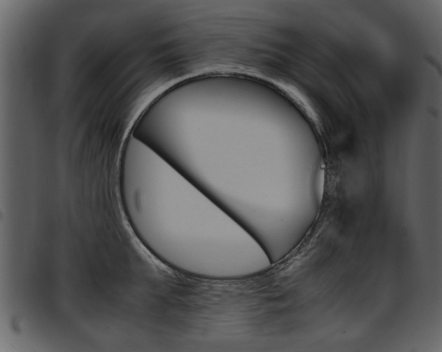 X0000097640903200802290819