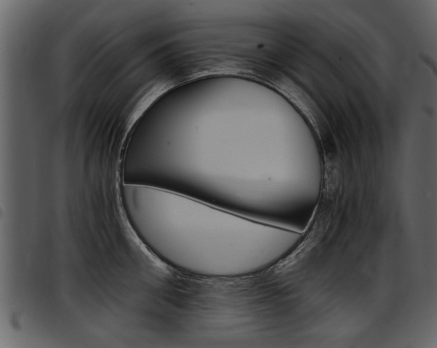 X0000097640906200802290819