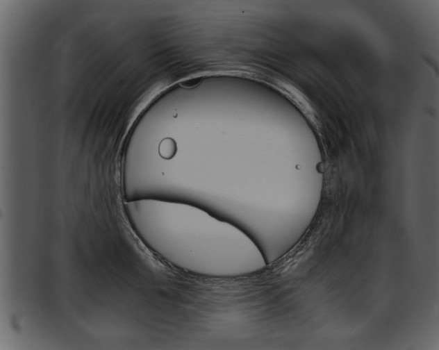 X0000097640907200802290819