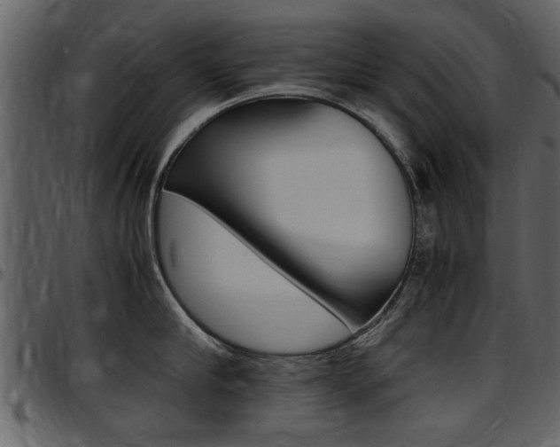 X0000097640910200802290819