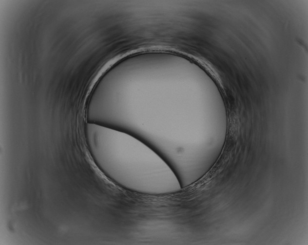X0000097640911200802290819