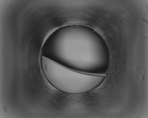 X0000097640912200802290819