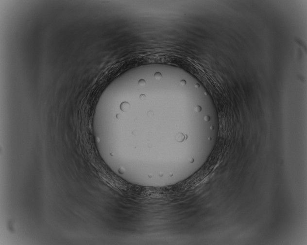 X0000097640913200802290818