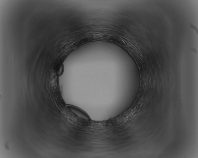 X0000097640914200802290818