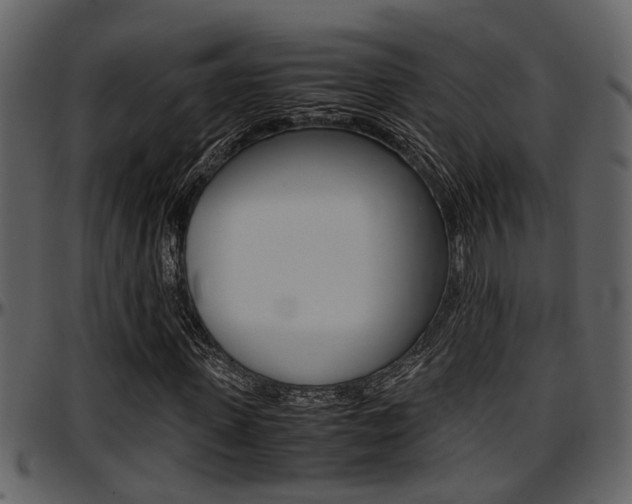 X0000097640915200802290818