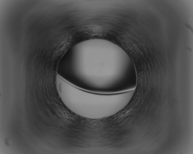 X0000097640916200802290818