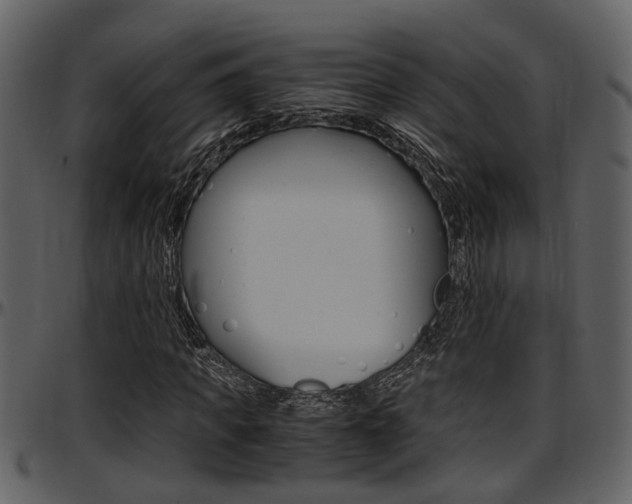 X0000097640917200802290818