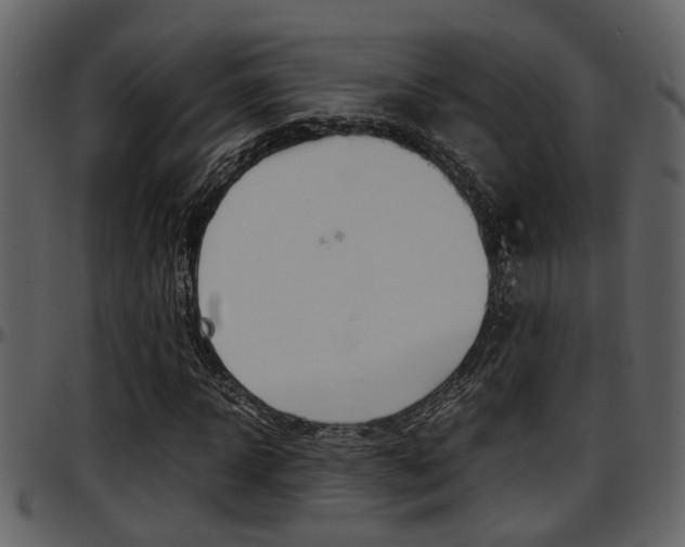 X0000097640918200802290818