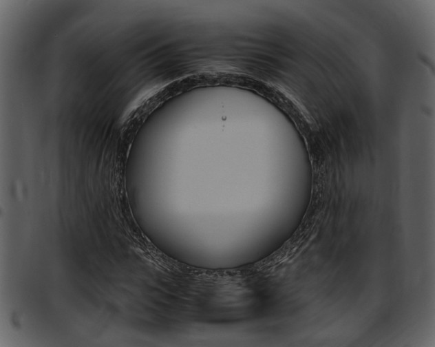 X0000097640919200802290818