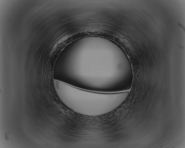 X0000097640920200802290818