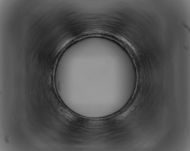 X0000097640921200802290818