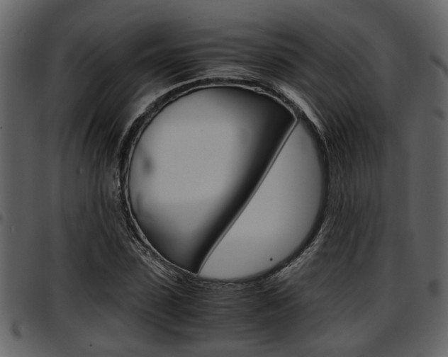 X0000097640923200802290818